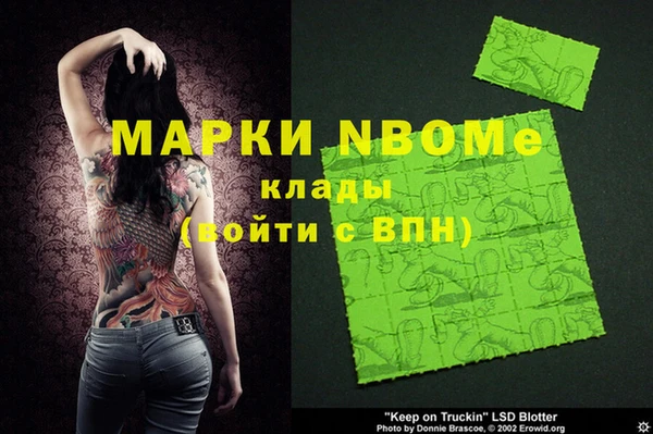 гашик Каменногорск