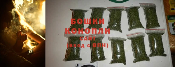 эйфоретик Карпинск