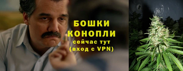 гашик Каменногорск