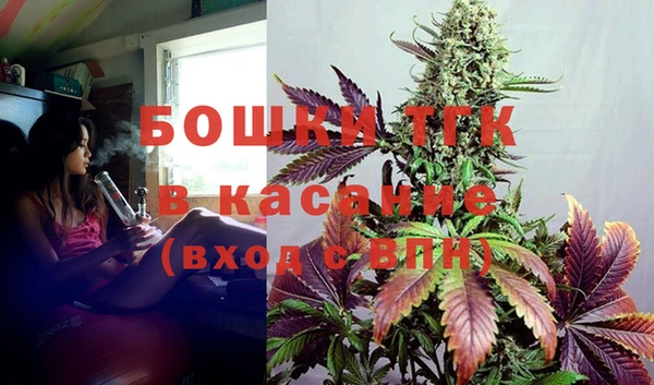 мет Каменка