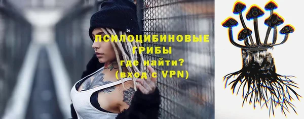 мет Каменка
